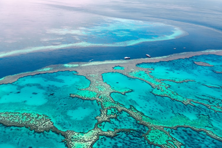 The Gems of the Great Barrier Reef | TravelManagers Australia