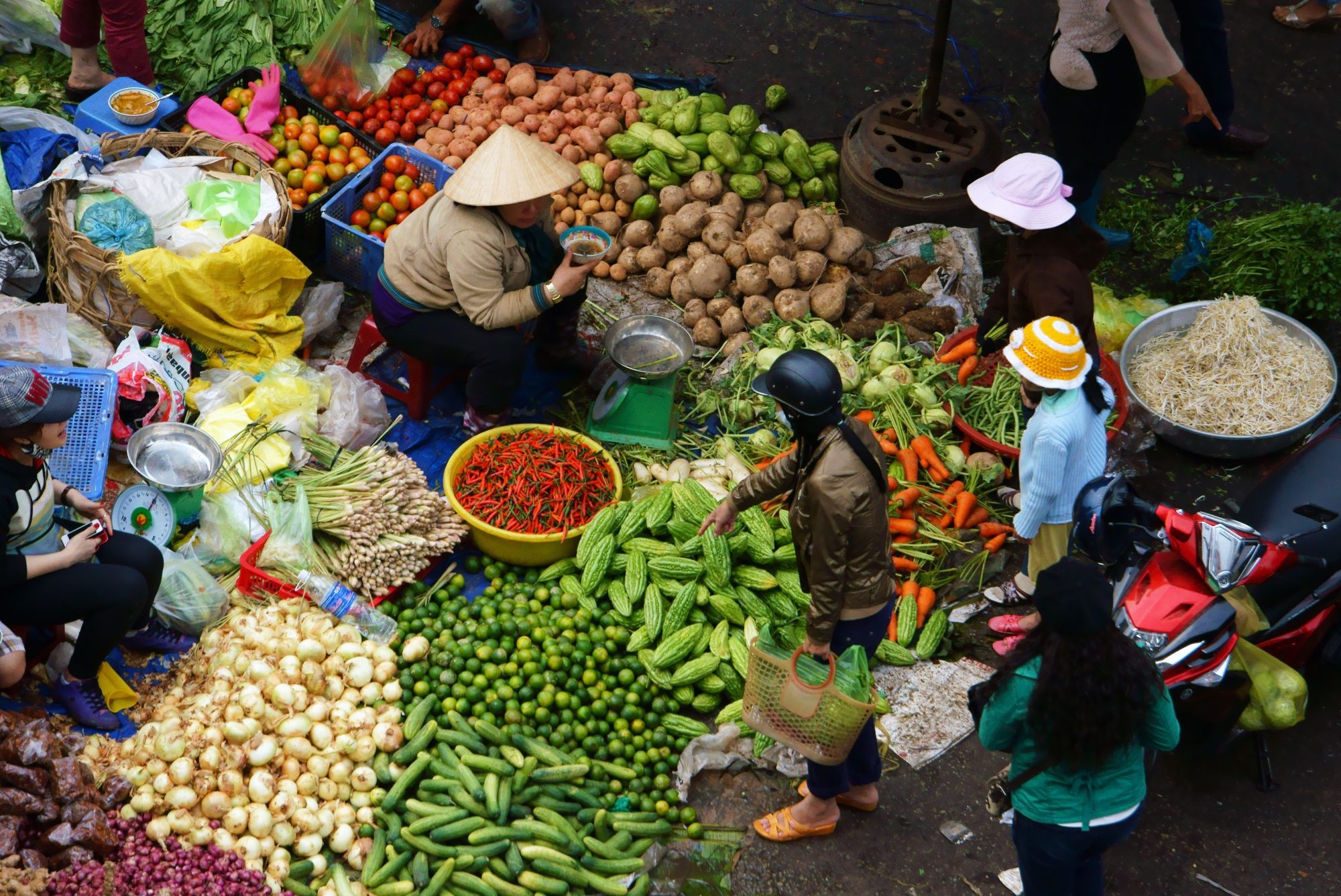 The Treasures of Vietnam | TravelManagers Australia