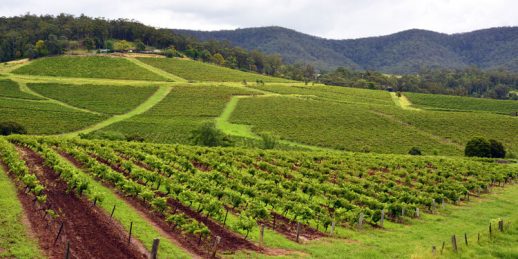 5 Places to Visit in NSW this Winter | TravelManagers Australia