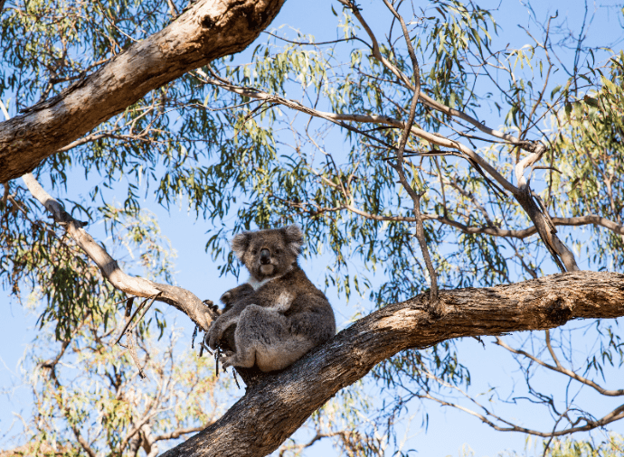 Day walks | Return to Melbourne