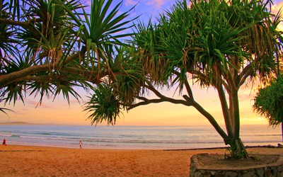 AdobeStock_5809241-sunshine-coast-australia_400x250