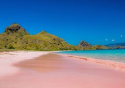 The incredible pink sand beaches you have to see to believe