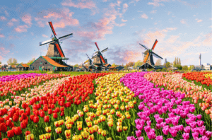 Tulip Festival, Netherlands