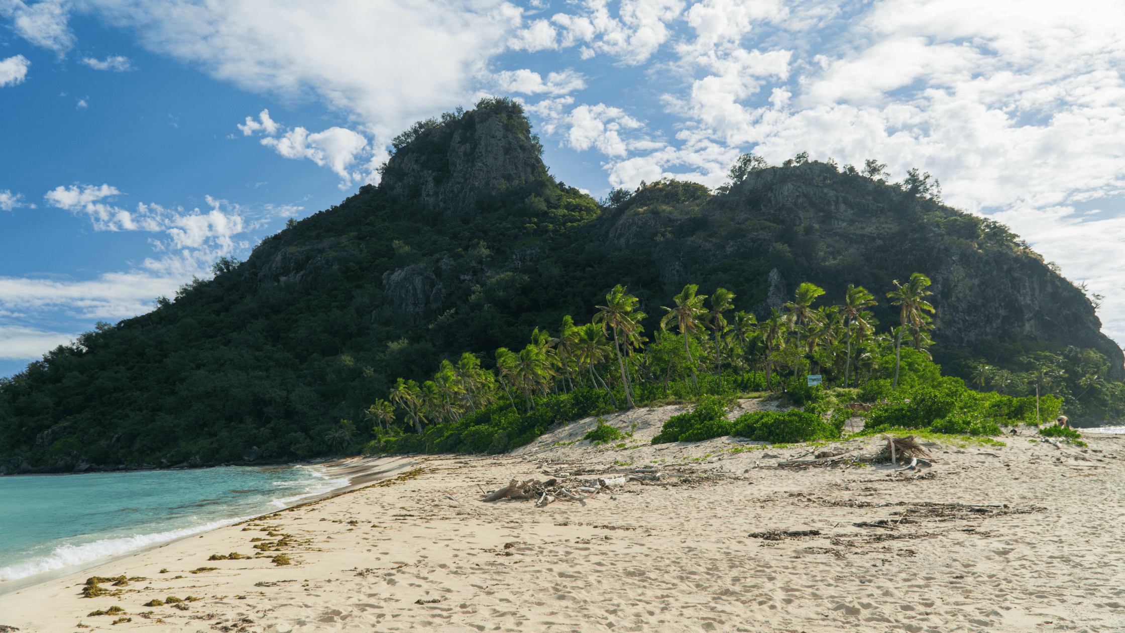 Best activities and experiences at Castaway Island, Fiji