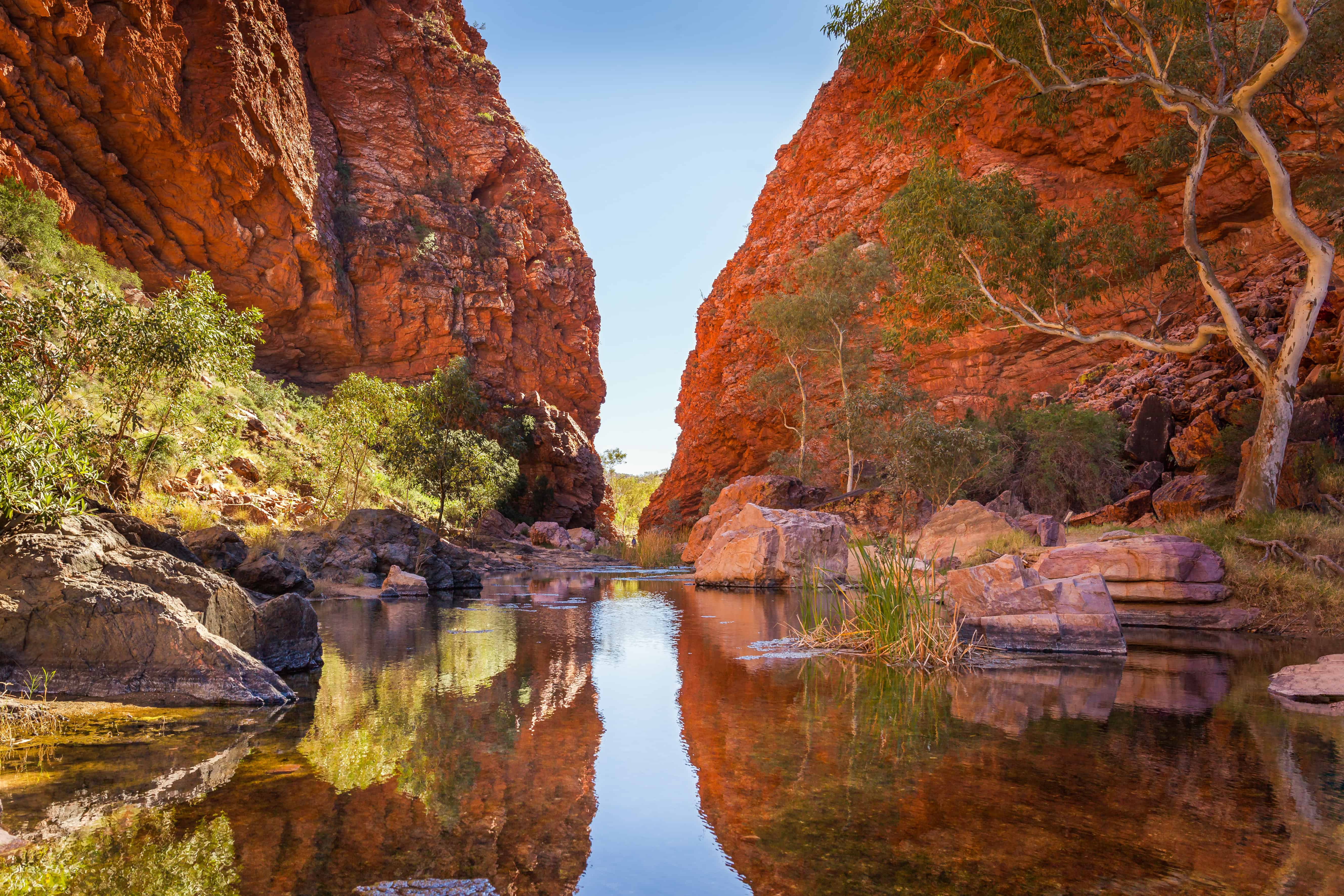 Northern Territory Odyssey: Unveiling Australia's Natural Marvels, Including the Iconic Ghan Rail Journey