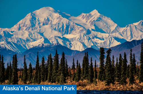 Alaska's Denali National Park, best places to visit