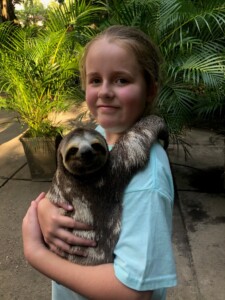 Family cruising- baby sloth