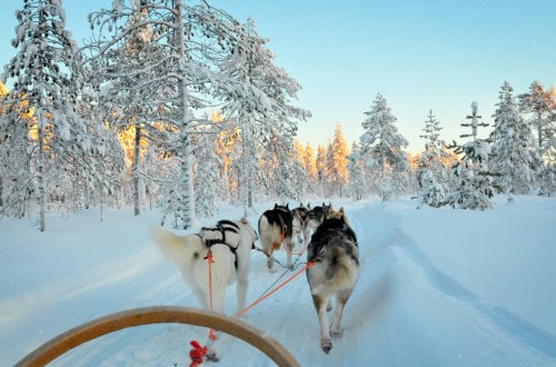 Lapland - how to maximise your annual leave