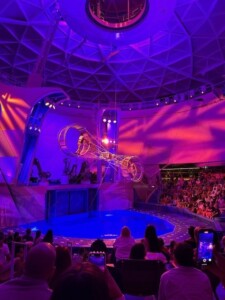 Amazing shows in the AquaDome- Family Cruise