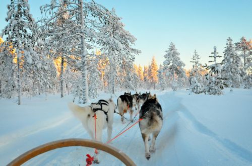 lapland - travel trends 2025