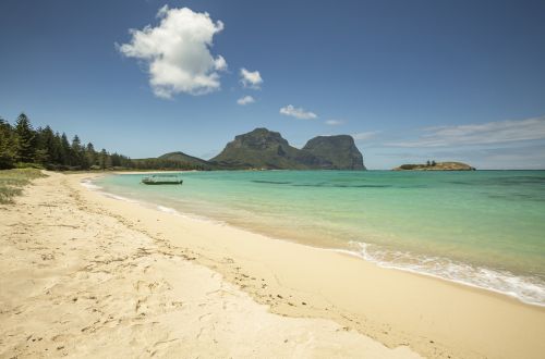 Lord Howe island adventures