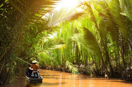 mekong delta, vietnam